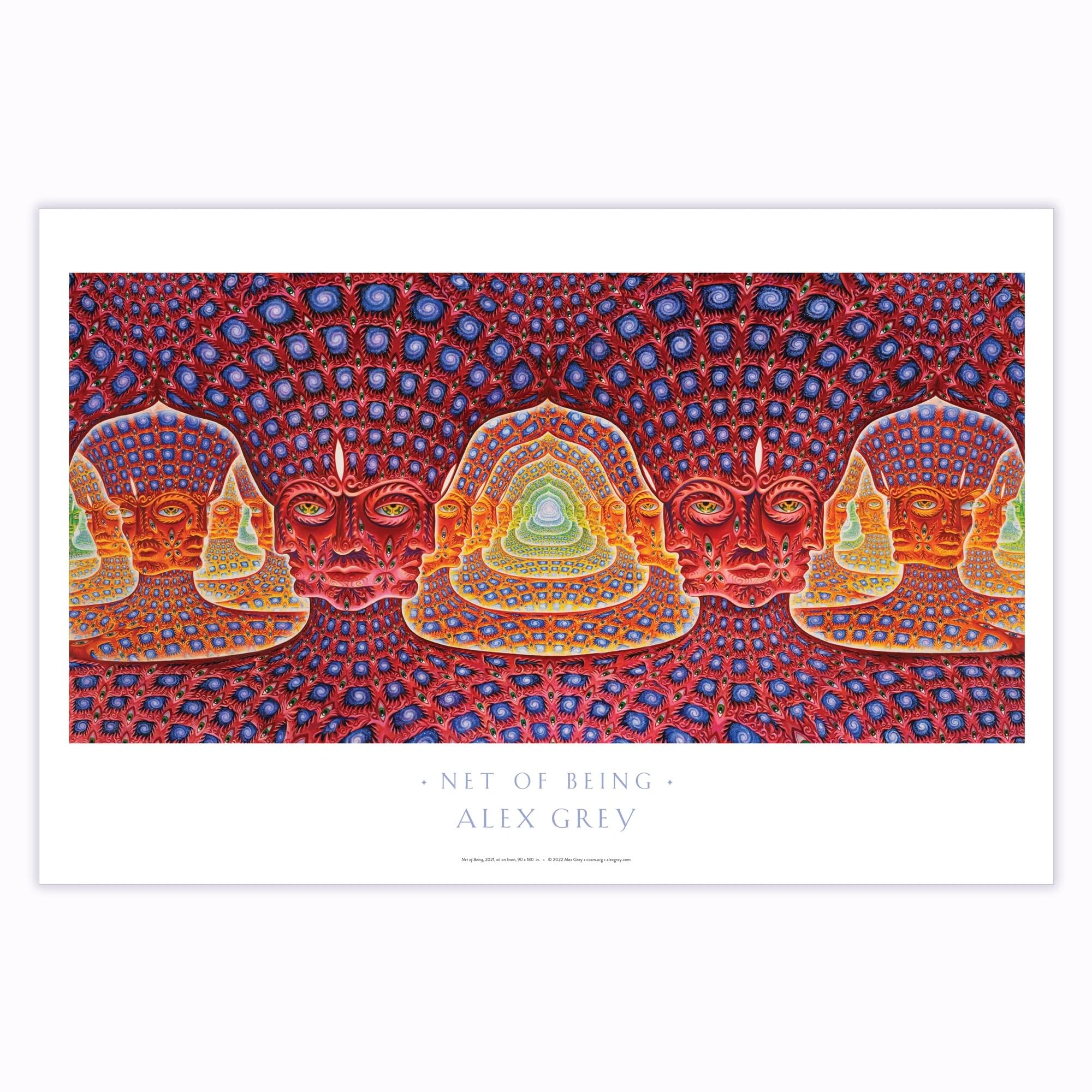 Amazon.com: Alex Grey - Net of Being - Poster : Alex Grey